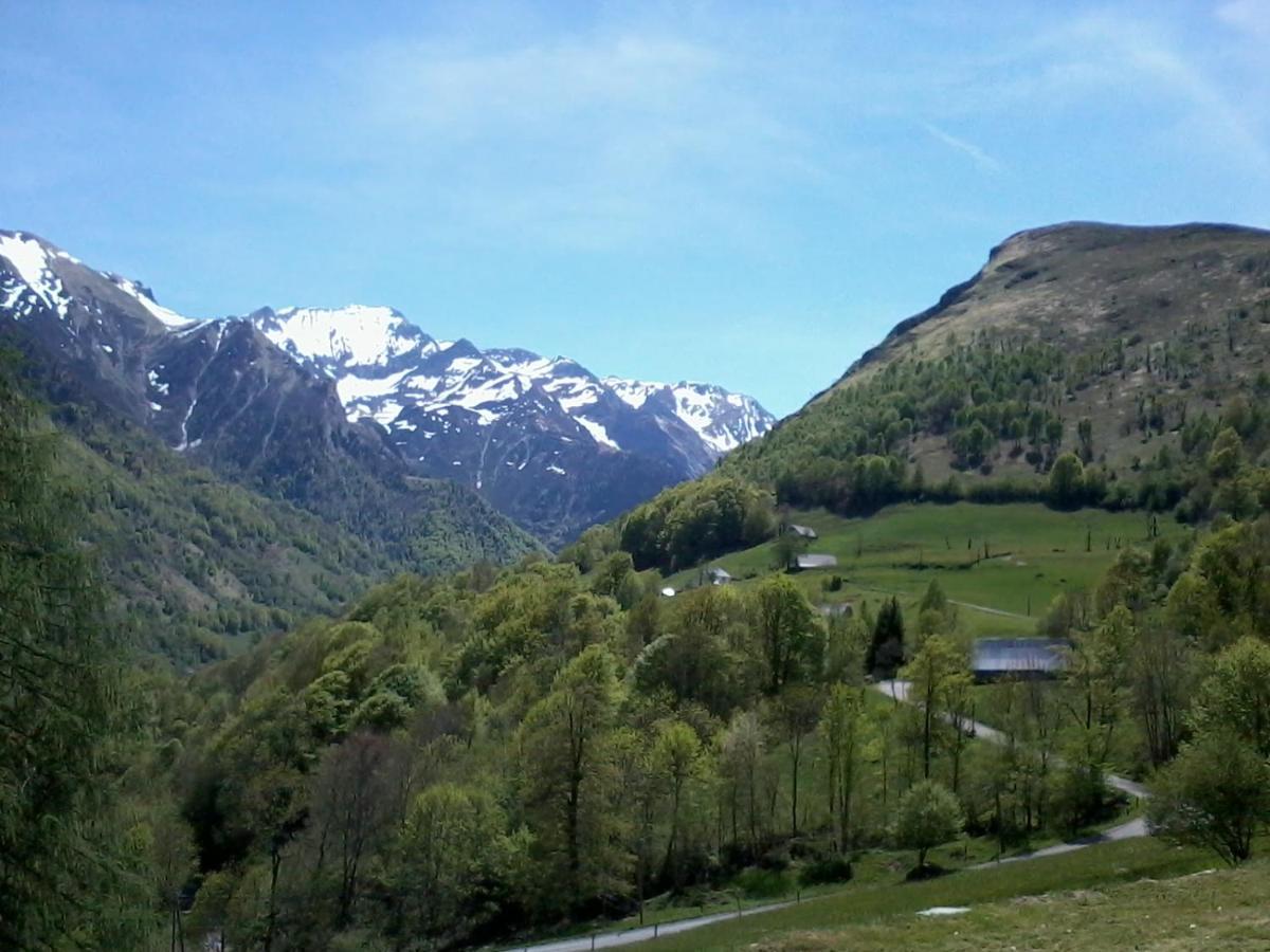 Appartement Habas Estaing Hautes Pyrenees Val D'Azun Exterior foto