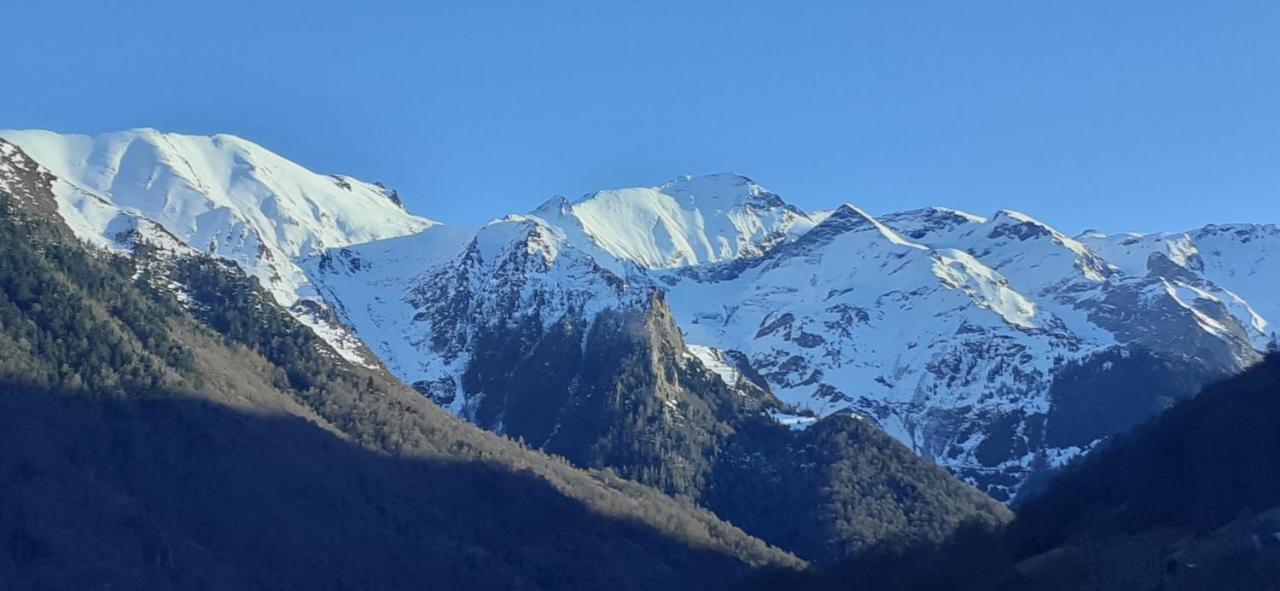 Appartement Habas Estaing Hautes Pyrenees Val D'Azun Exterior foto