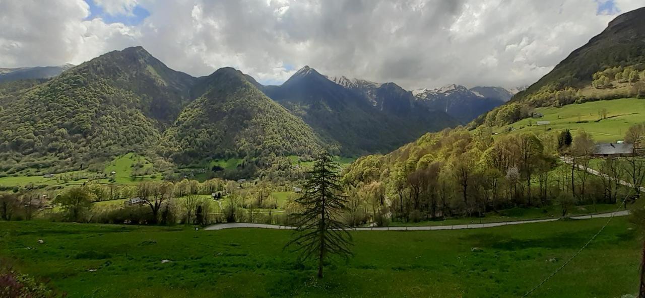 Appartement Habas Estaing Hautes Pyrenees Val D'Azun Exterior foto