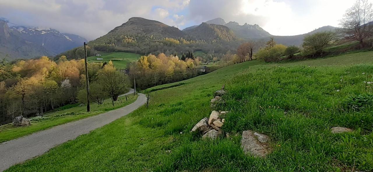 Appartement Habas Estaing Hautes Pyrenees Val D'Azun Exterior foto